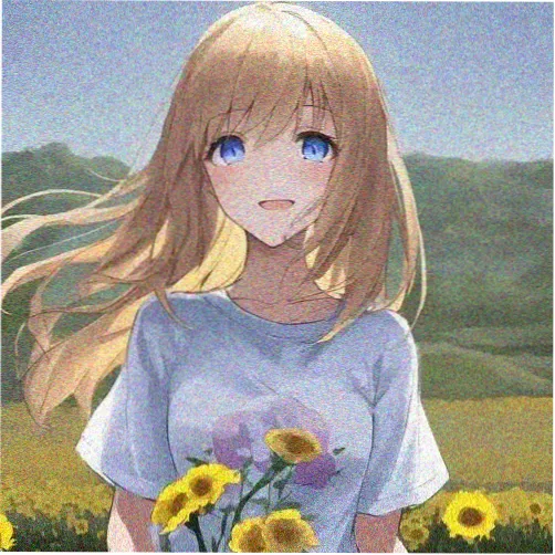 狸宝